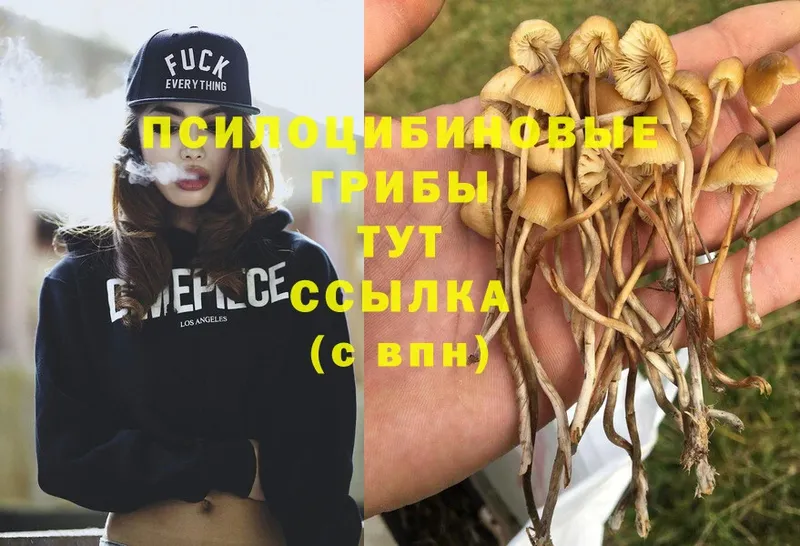 Псилоцибиновые грибы Magic Shrooms  Бирюч 